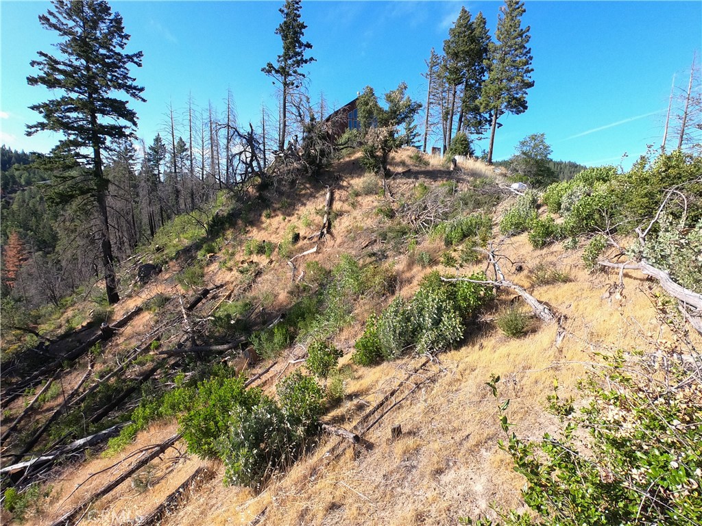 13627 View Road Cobb, CA 95426 - Photo 24 of 27 a view of a yard with a tree