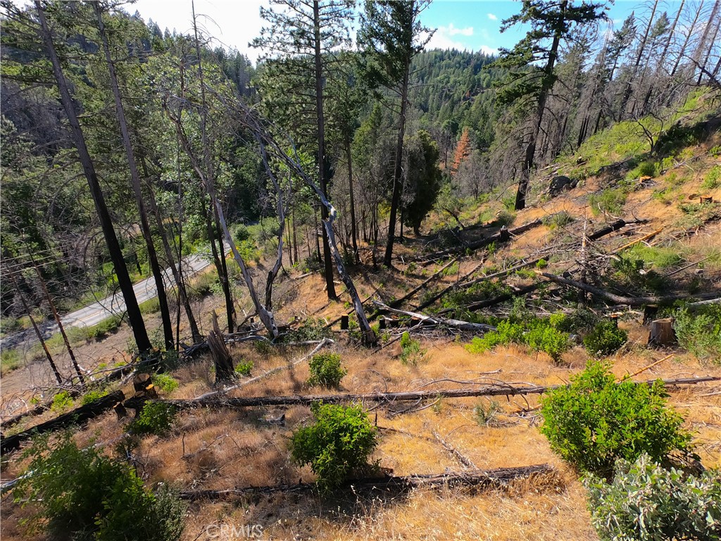 13627 View Road Cobb, CA 95426 - Photo 25 of 27 a view of a yard with trees