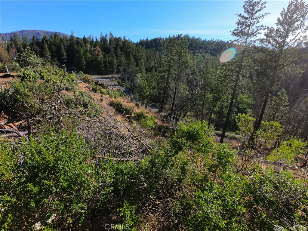 13627 View Road Cobb, CA 95426 - Photo 27 of 27 a view of a forest with a tree in the background
