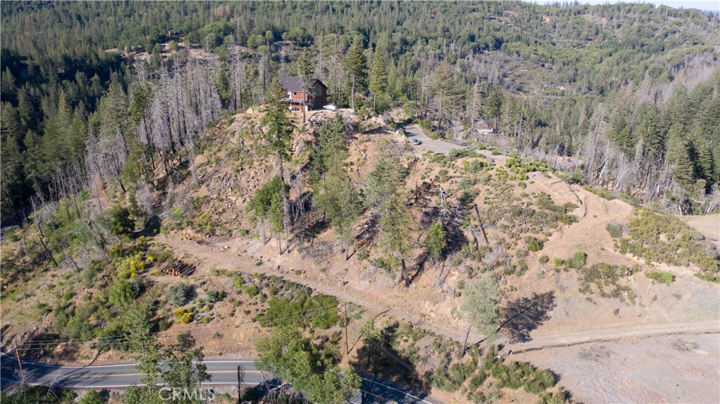 13627 View Road Cobb, CA 95426 - Photo 4 of 27 a view of a yard with trees