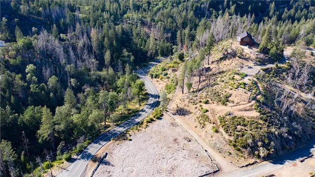 a view of a garden with plants
