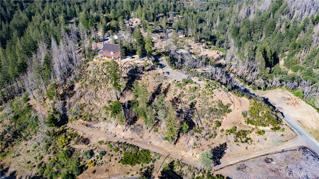 13627 View Road Cobb, CA 95426 - Photo 10 of 27 a view of plant with lots of trees