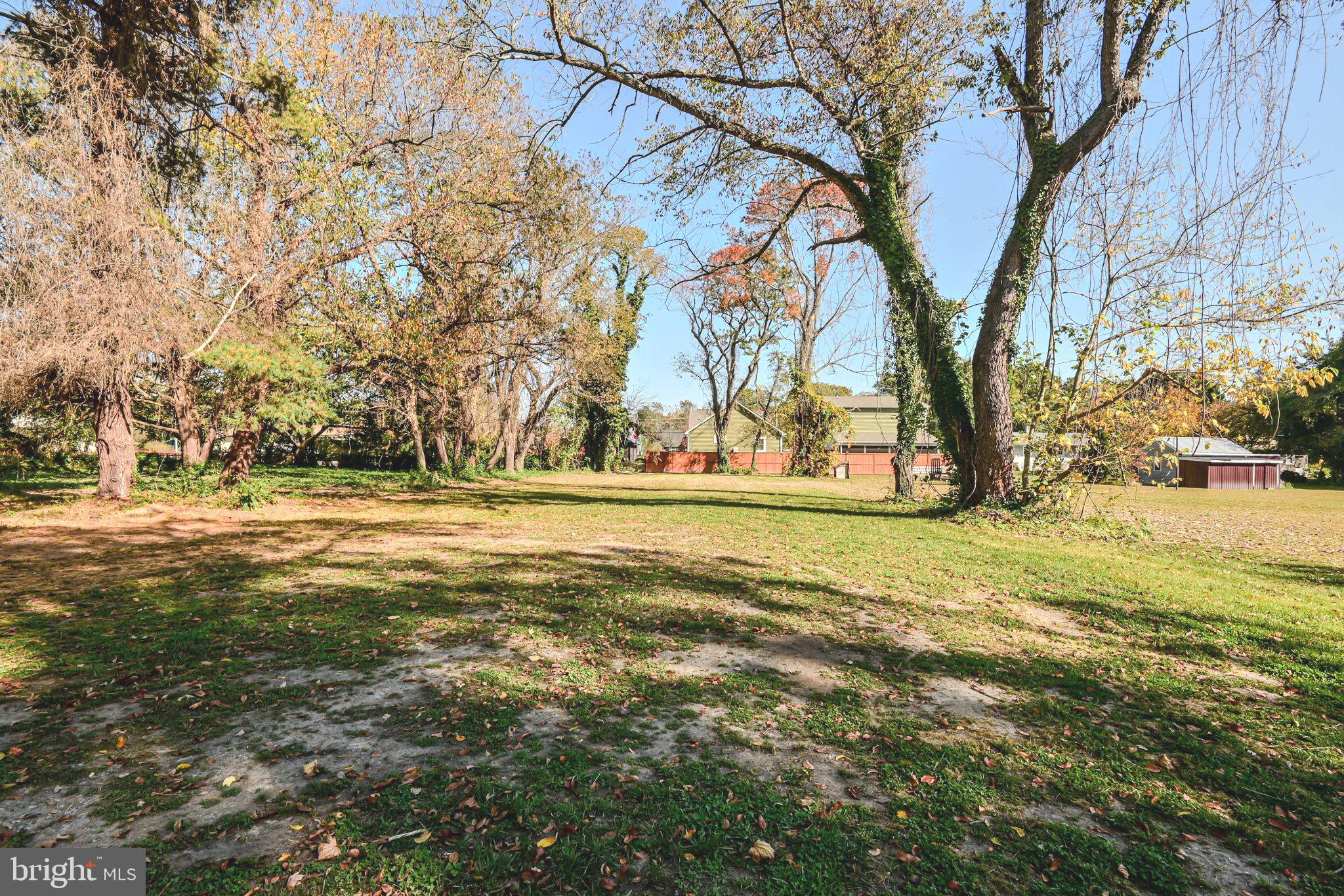 319 Union Street Milton, DE 19968 - Photo 60 of 61 Rear Extended Yard