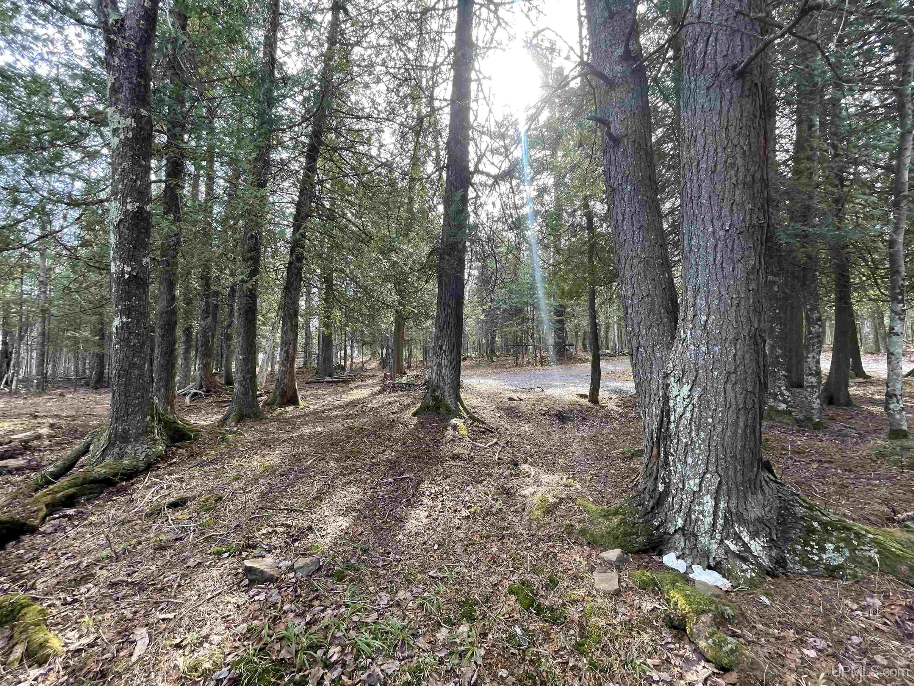 2 Point Abbaye Road Lanse, MI 49946 - Photo 15 of 21