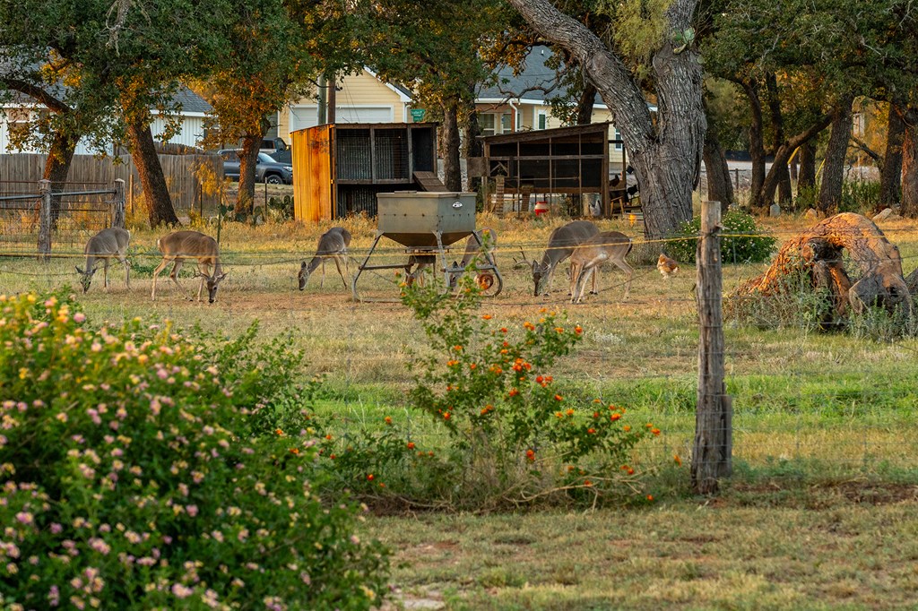 271 Smokehouse Road Fredericksburg, TX 78624 - Photo 60 of 100
