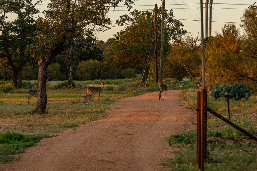 271 Smokehouse Road Fredericksburg, TX 78624 - Photo 63 of 100