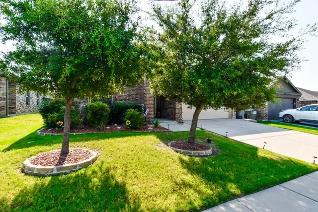a swimming pool with lots of trees