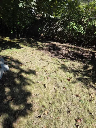 a view of a yard covered in snow