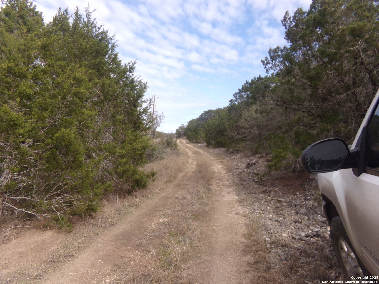 5 Pvt Rd 2560 Uvalde, TX 78801 - Photo 4 of 9 a view of a dry yard with trees