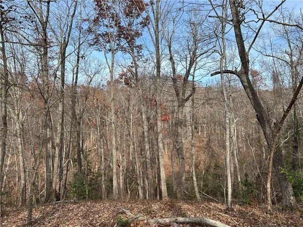a view of a backyard of the house
