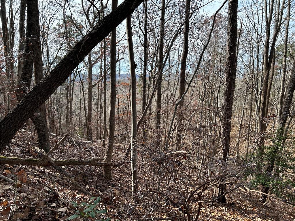 0 Ga-105 Baldwin, GA 30511 - Photo 2 of 35 a backyard of a house with lots of green space