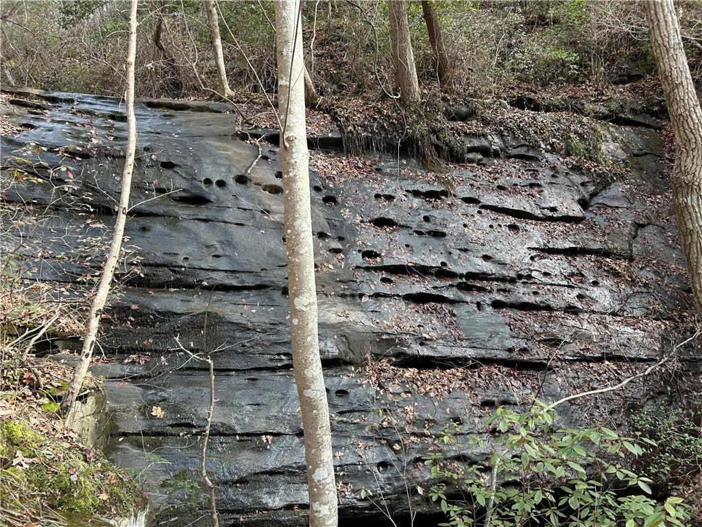 0 Ga-105 Baldwin, GA 30511 - Photo 25 of 35 a view of a backyard of a house