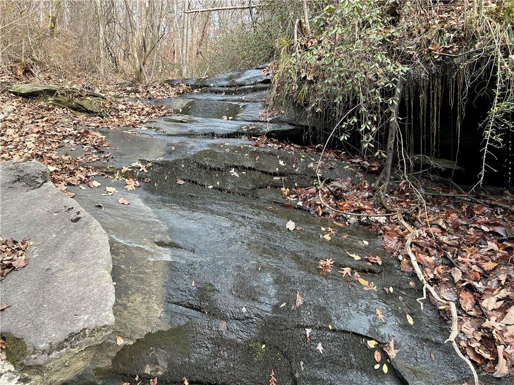 0 Ga-105 Baldwin, GA 30511 - Photo 28 of 35 a view of dirt yard with trees