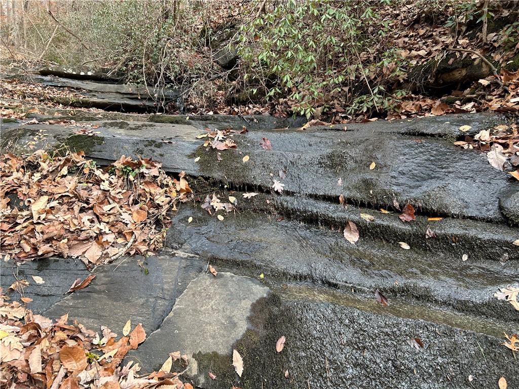 0 Ga-105 Baldwin, GA 30511 - Photo 29 of 35 a view of a forest with trees