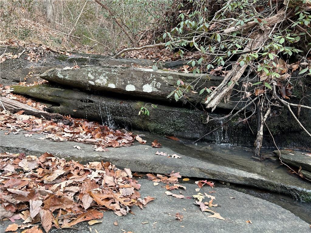 0 Ga-105 Baldwin, GA 30511 - Photo 30 of 35