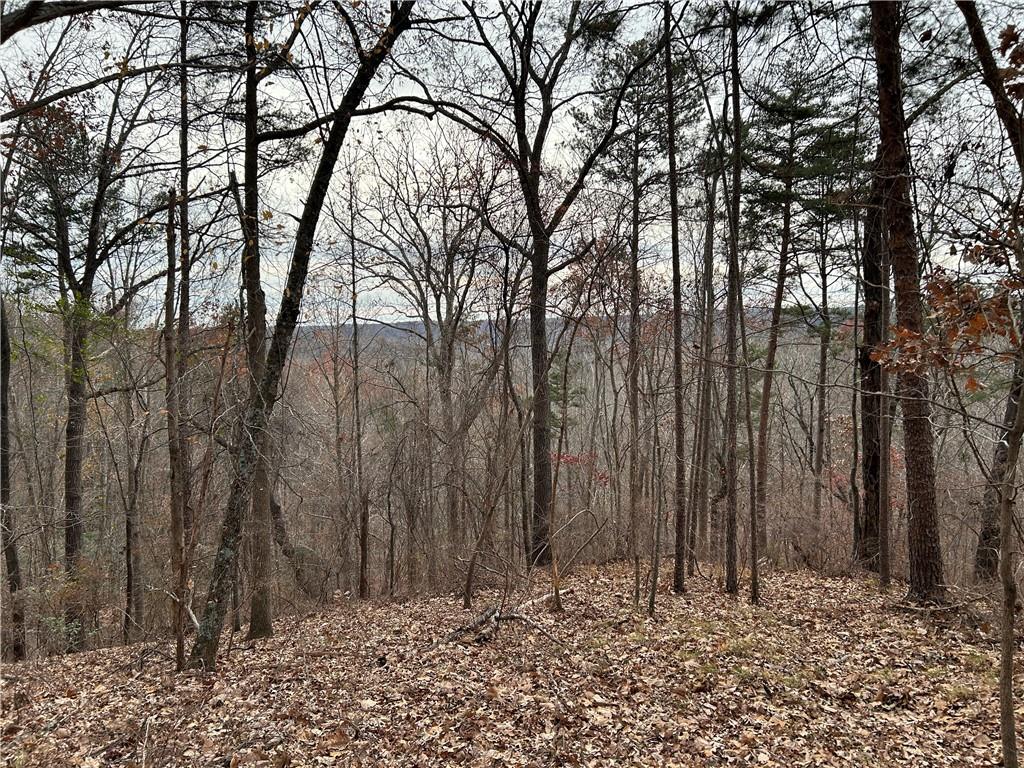 0 Ga-105 Baldwin, GA 30511 - Photo 32 of 35 a view of wooden fence of a building