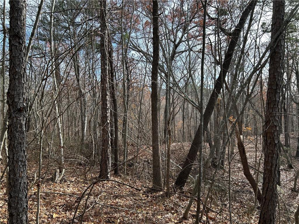 0 Ga-105 Baldwin, GA 30511 - Photo 4 of 35 a view of a forest
