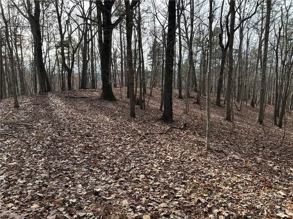 a view of outdoor space with lots of trees