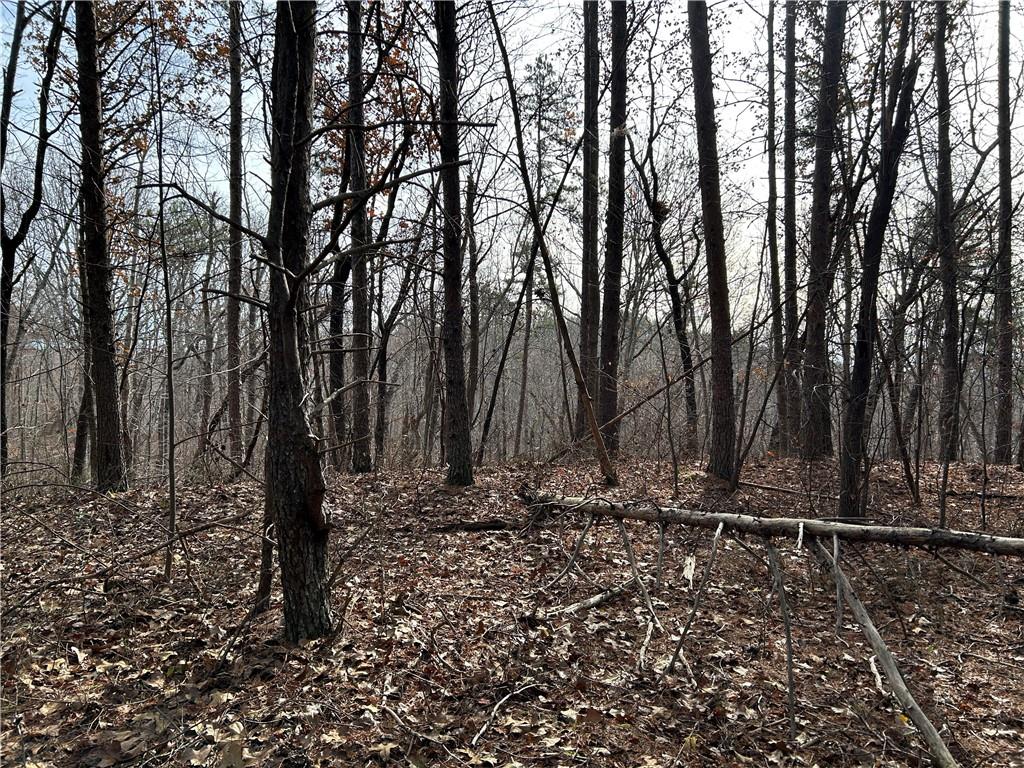 0 Ga-105 Baldwin, GA 30511 - Photo 7 of 35 a view of a backyard