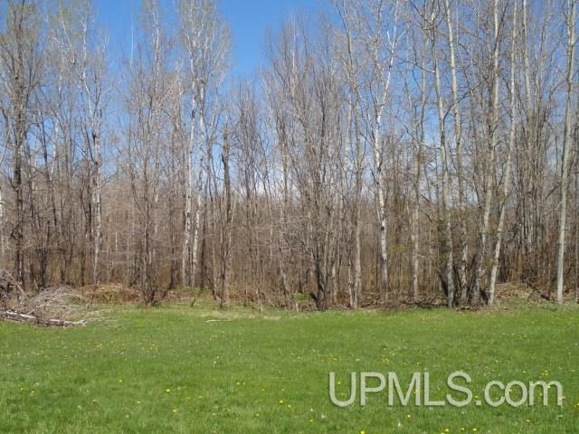26514 Quartz Road Ontonagon, MI 49953 - Photo 15 of 21 Gallery Image 15