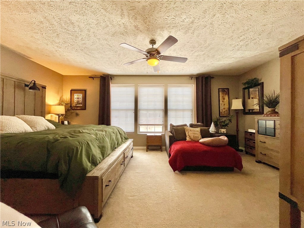 991 Croghan Way Akron, OH 44321 - Photo 20 of 25 Owner's suite