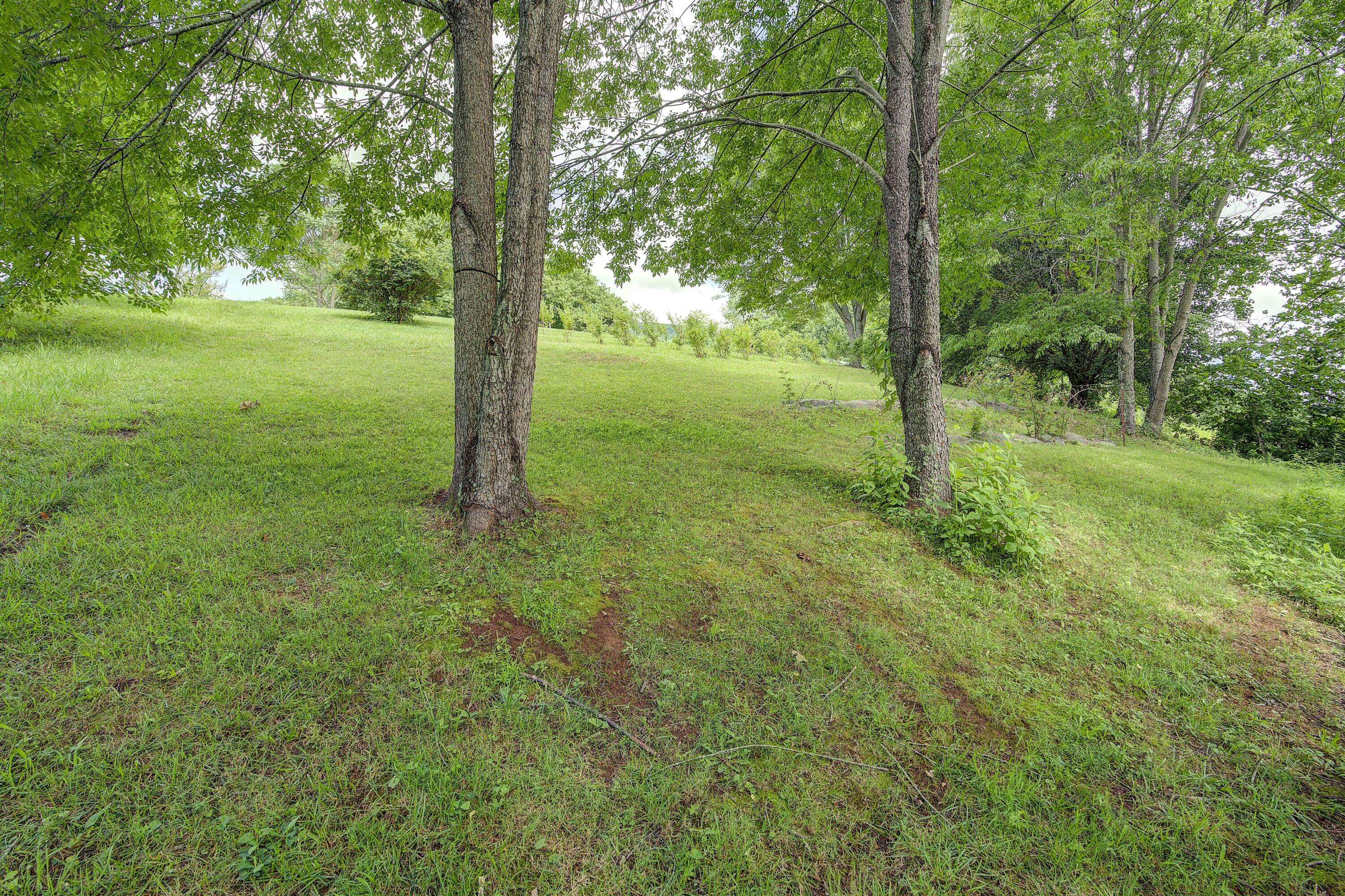 1009 Gouge Road Unicoi, TN 37692 - Photo 50 of 65 Yard