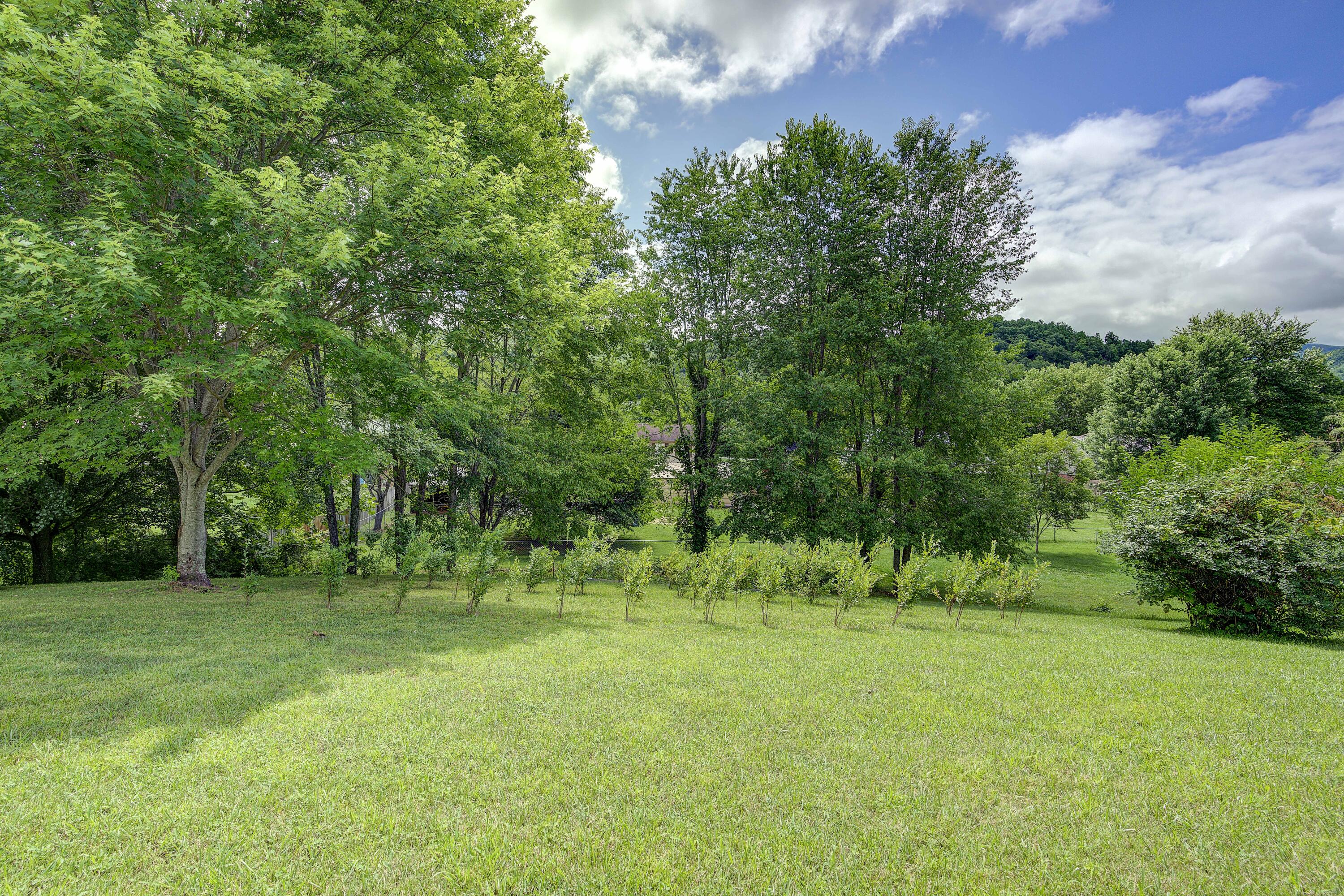 1009 Gouge Road Unicoi, TN 37692 - Photo 52 of 65 Yard