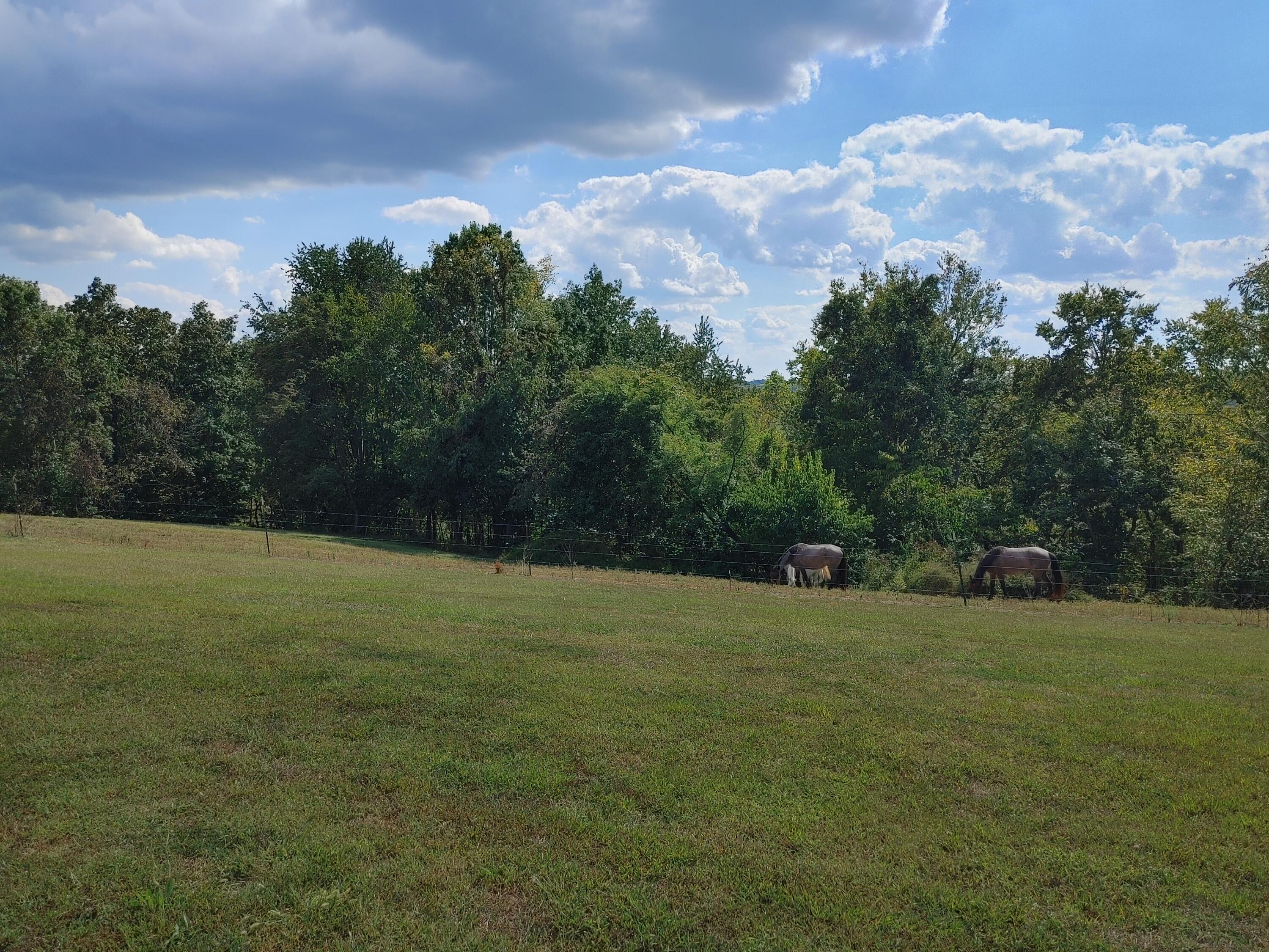 0 Newby Road Richmond, KY 40475 - Photo 13 of 28 0918231537a_HDR
