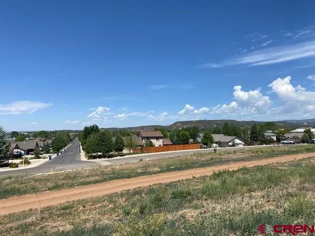 a view of a yard with palm tree