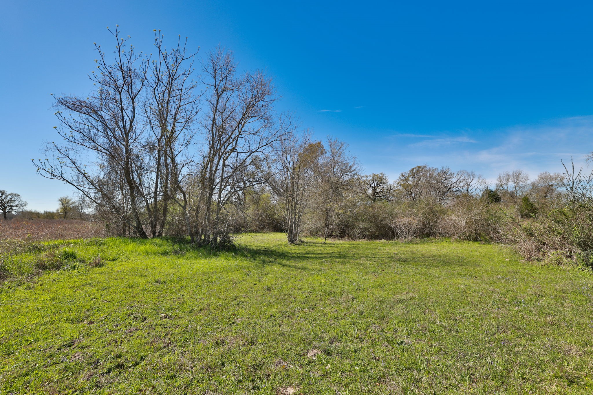 21100 Telephone Road Hempstead, TX 77445 - Photo 24 of 34