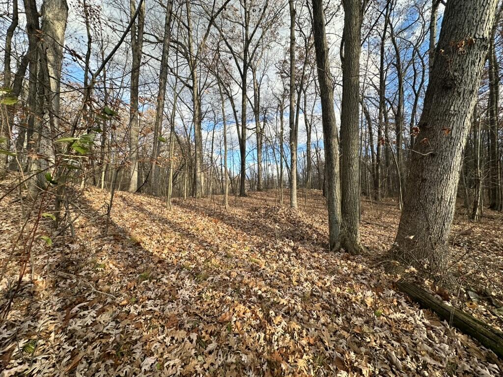 Oak Vacant Lots Pinckney, MI 48169 - Photo 2 of 10 Oak Vacant Lots