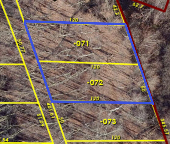 Oak Vacant Lots Pinckney, MI 48169 - Photo 4 of 10 Plat Map