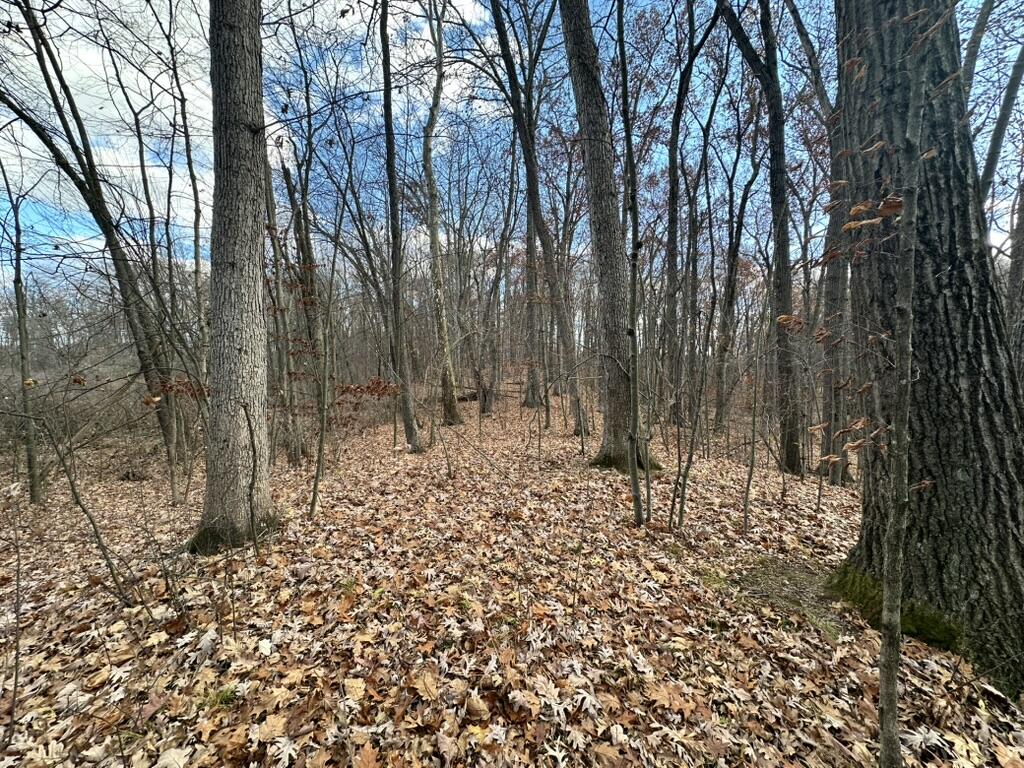 Oak Vacant Lots Pinckney, MI 48169 - Photo 7 of 10 Oak Vacant Lots