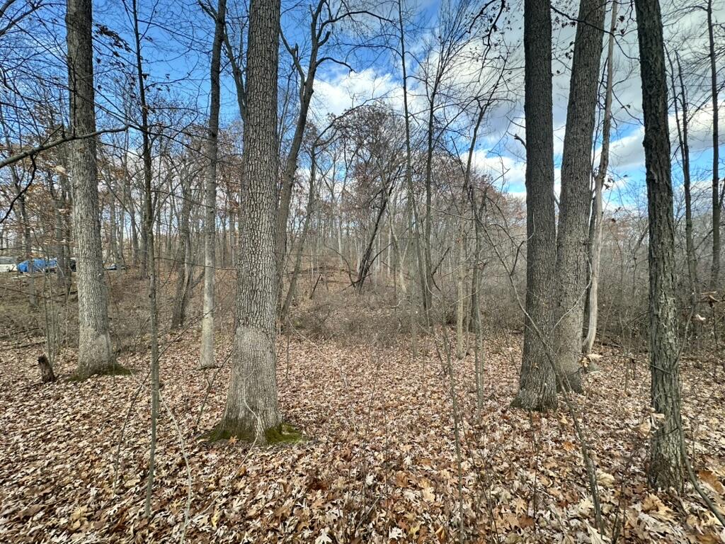 Oak Vacant Lots Pinckney, MI 48169 - Photo 8 of 10 Oak Vacant Lots