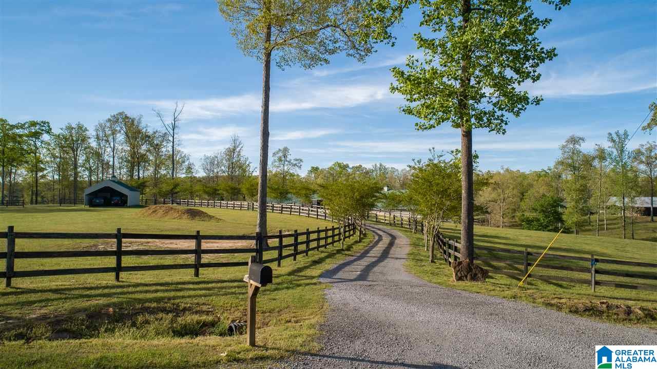 182 Rosie Road Arley, AL 35541 - Photo 9 of 35