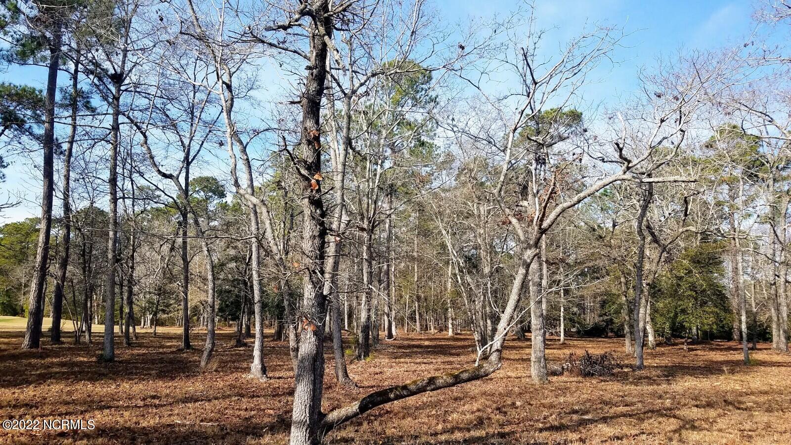 Lot 17 Copas Road Shallotte, NC 28470 - Photo 1 of 45 image_2 (2)