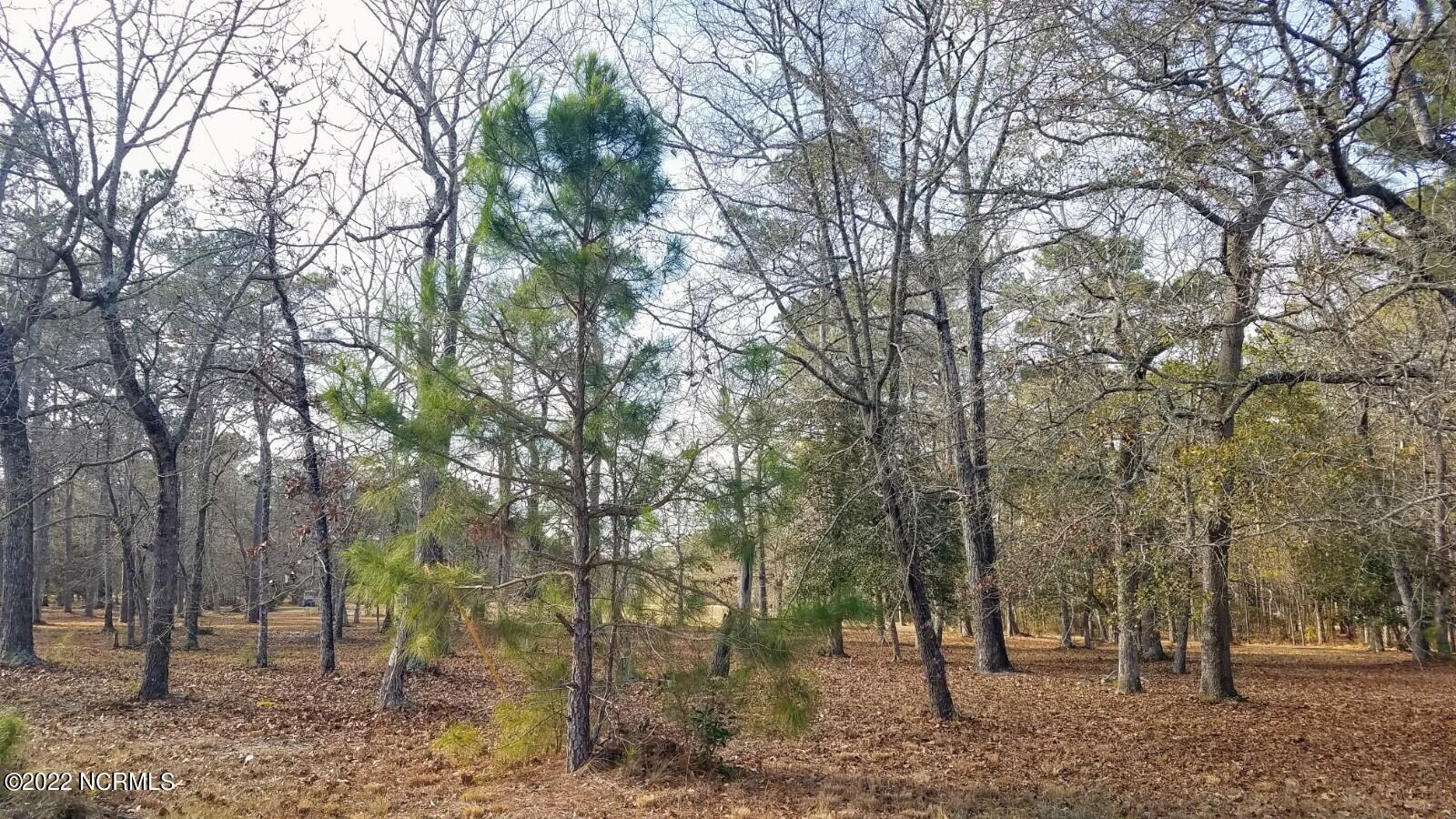 Lot 17 Copas Road Shallotte, NC 28470 - Photo 14 of 45 20220101_133607