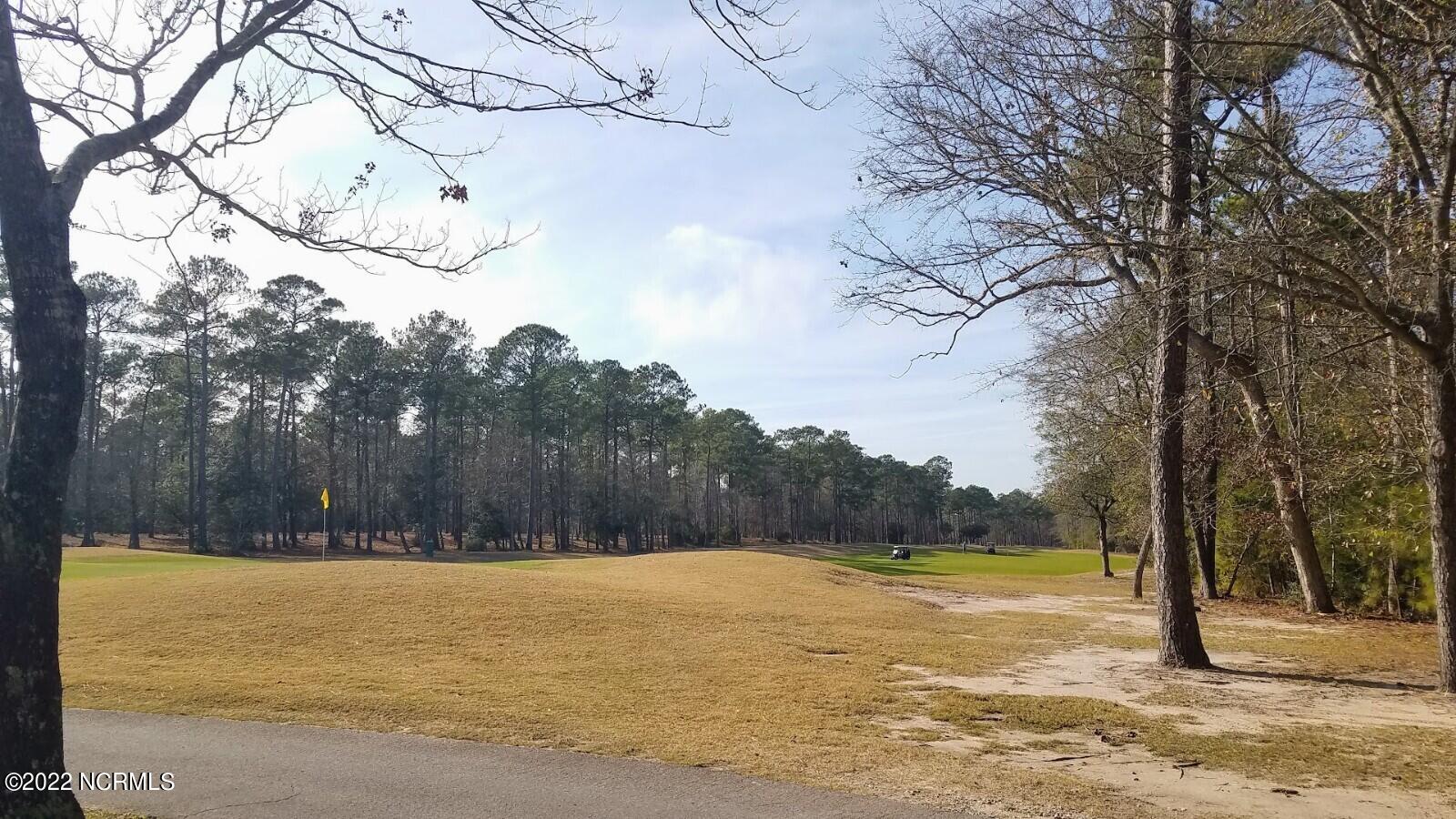 Lot 17 Copas Road Shallotte, NC 28470 - Photo 8 of 45 image_2