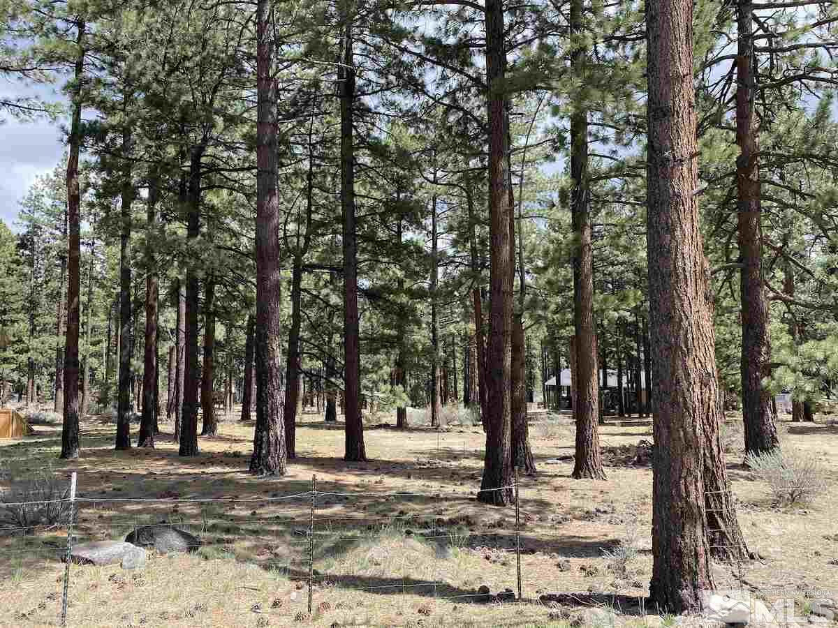16275 Callahan Road Reno, NV 89511 - Photo 1 of 6 Photo 1