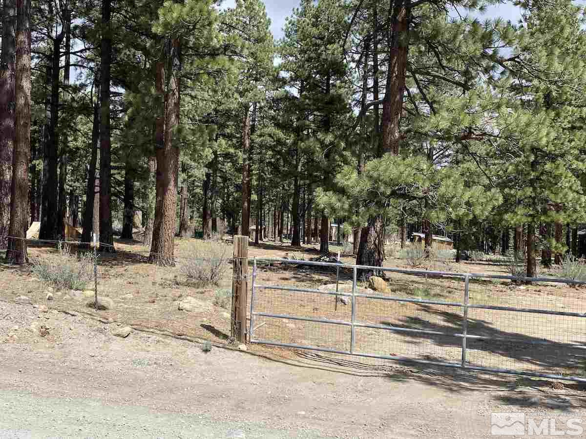 16275 Callahan Road Reno, NV 89511 - Photo 3 of 6 Photo 3