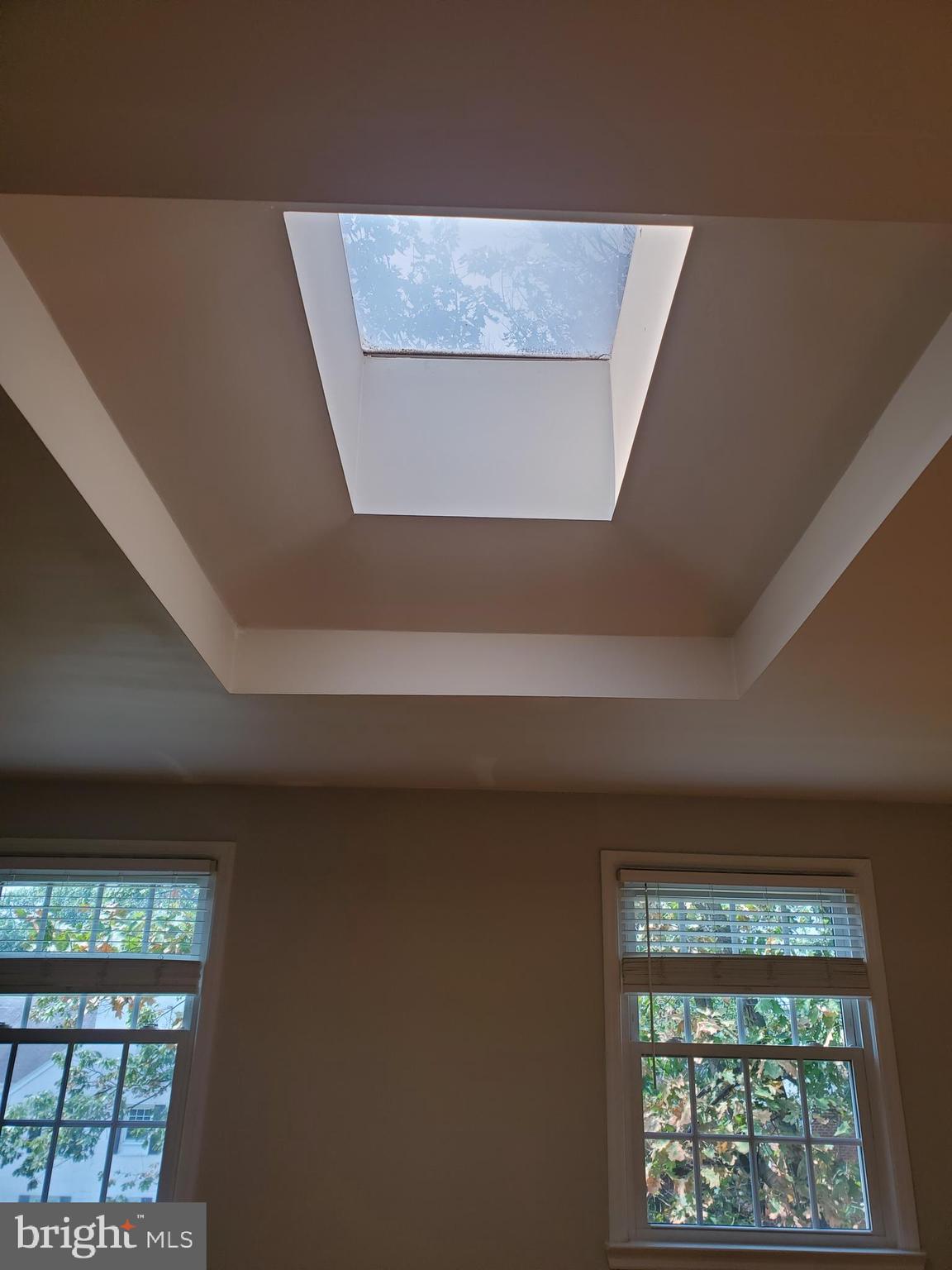 2902 13th Road South, Unit 301 Arlington, VA 22204 - Photo 4 of 20 Huge Skylight and Tray Ceiling