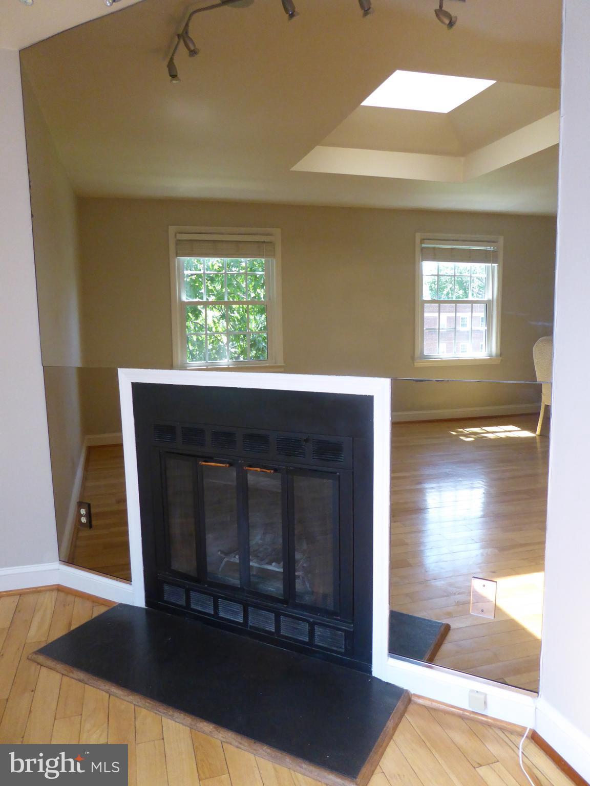 2902 13th Road South, Unit 301 Arlington, VA 22204 - Photo 5 of 20 Wood-Burning Fireplace with Custom Mirror