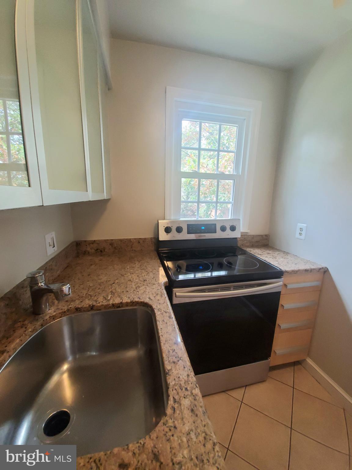2902 13th Road South, Unit 301 Arlington, VA 22204 - Photo 7 of 20 Granite Counters and Deep Single Bowl Sink
