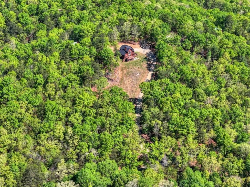 769 Voylestown Road Morganton, GA 30560 - Photo 64 of 67 Gallery Image 64