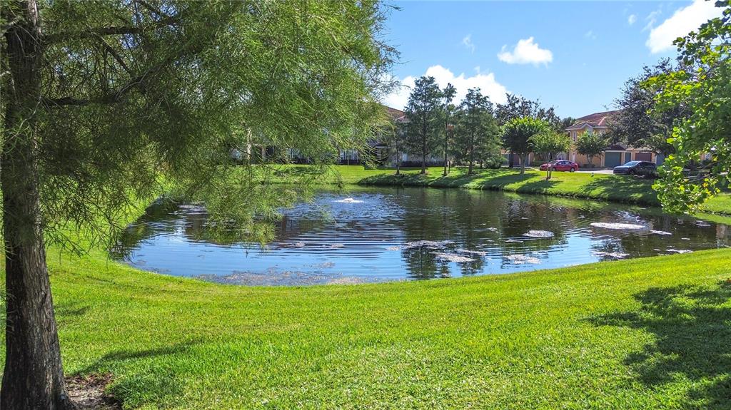 18604 Belvedere Road Orlando, FL 32820 - Photo 48 of 50 a view of a lake with a yard and large trees