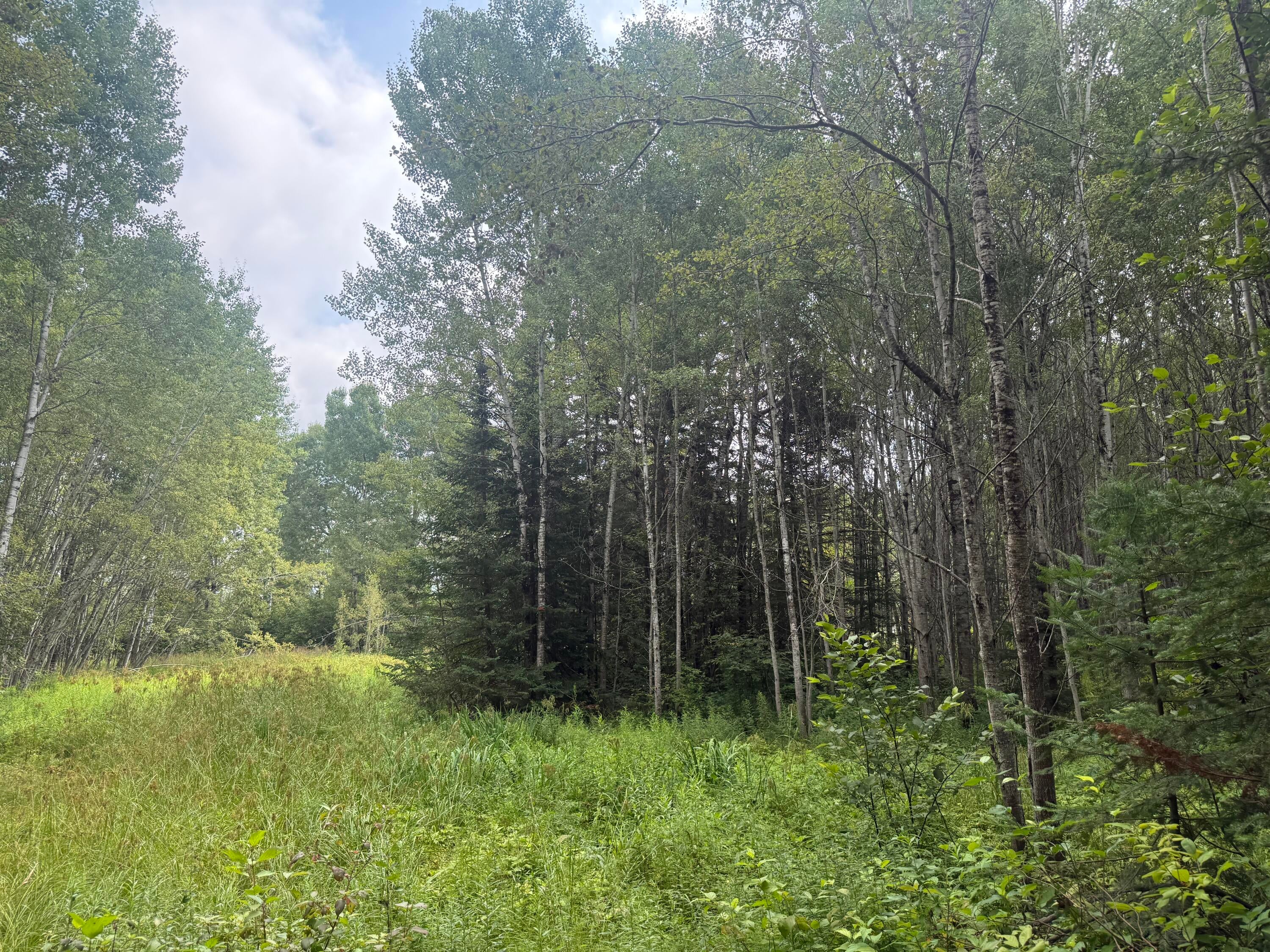 6906 South North Hulbert Road Hulbert, MI 49748 - Photo 11 of 40 Gallery Image 11