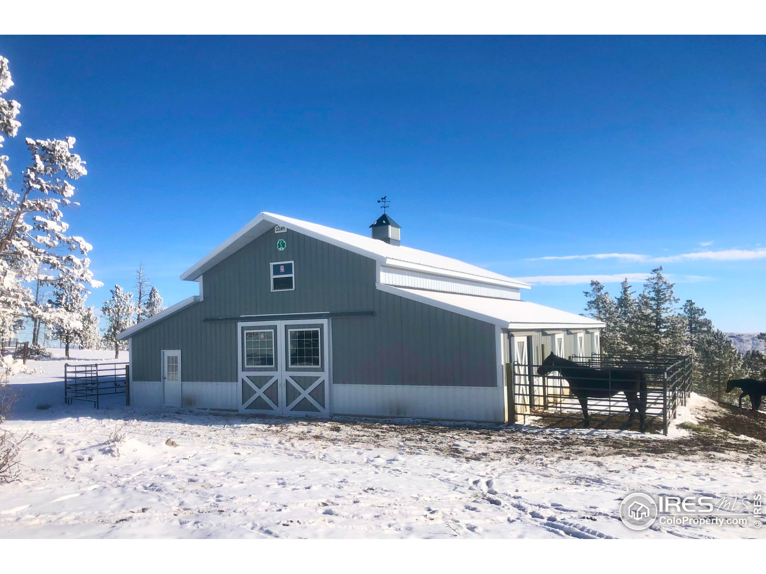 3235 Davis Ranch Road Bellvue, CO 80512 - Photo 11 of 38 a front view of a house with a yard