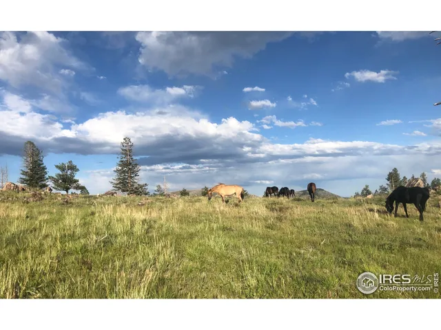 a view of a yard with a fountain
