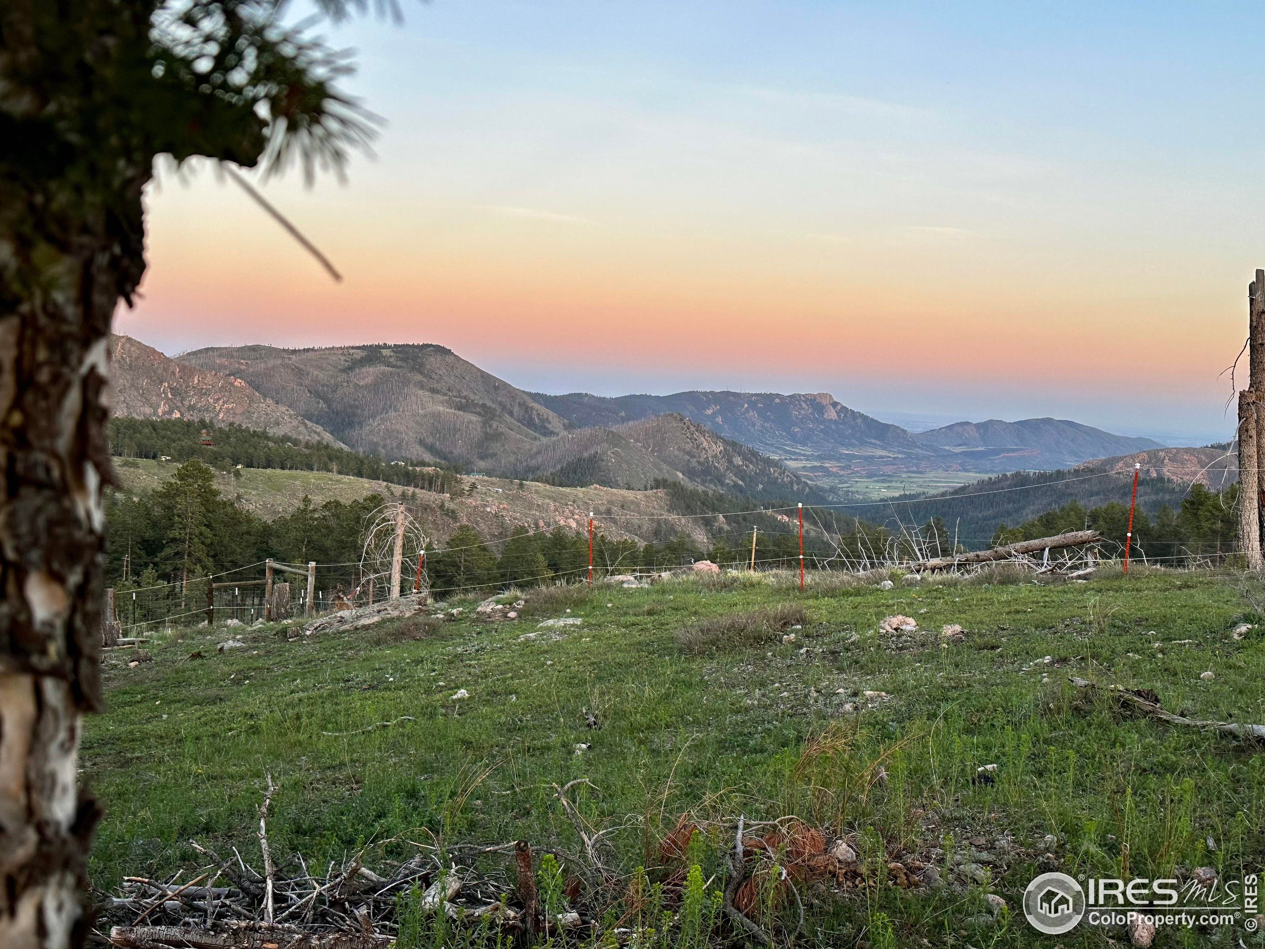 3235 Davis Ranch Road Bellvue, CO 80512 - Photo 17 of 38 a view of a lush green hillside and houses