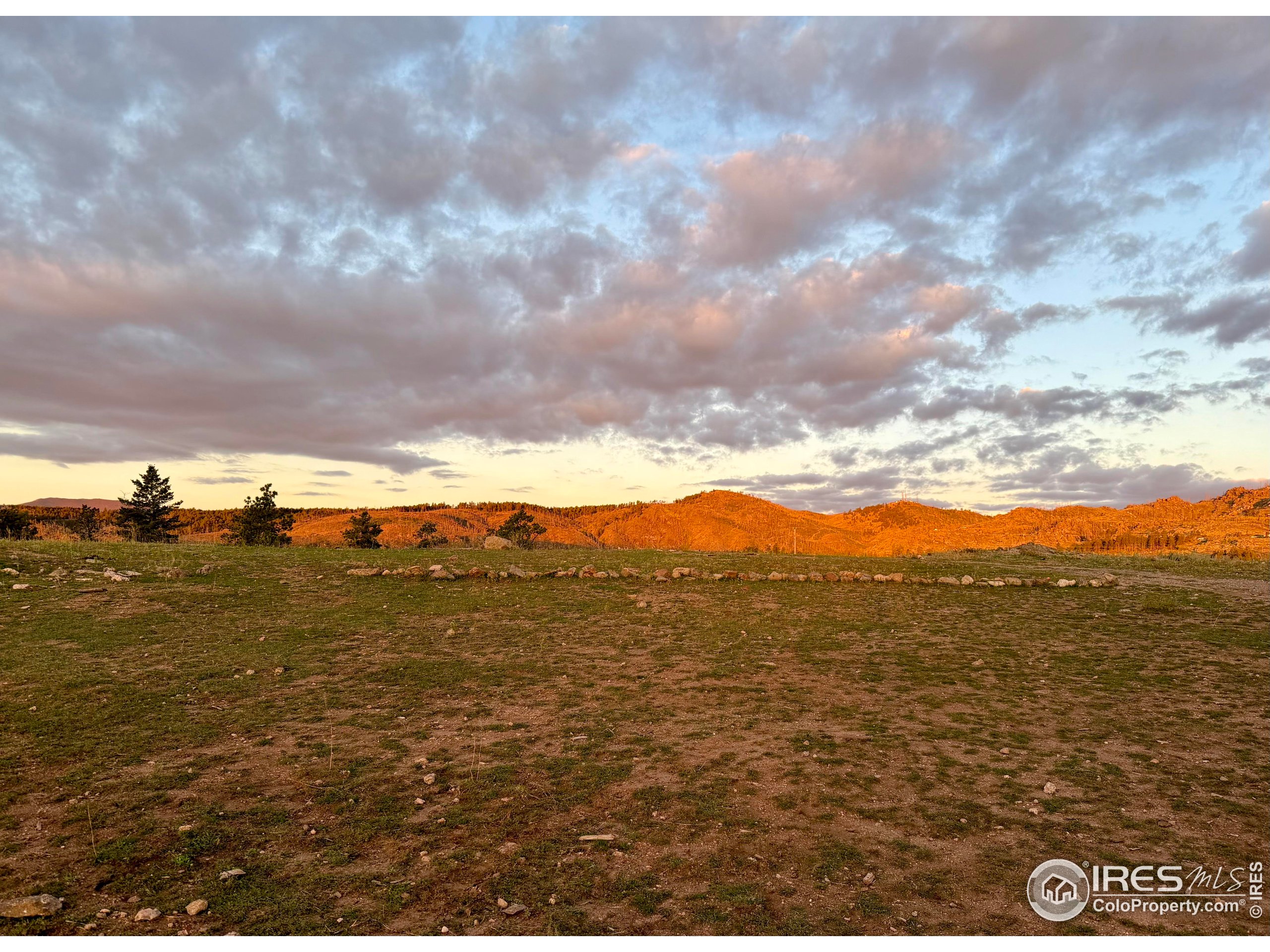 3235 Davis Ranch Road Bellvue, CO 80512 - Photo 34 of 38